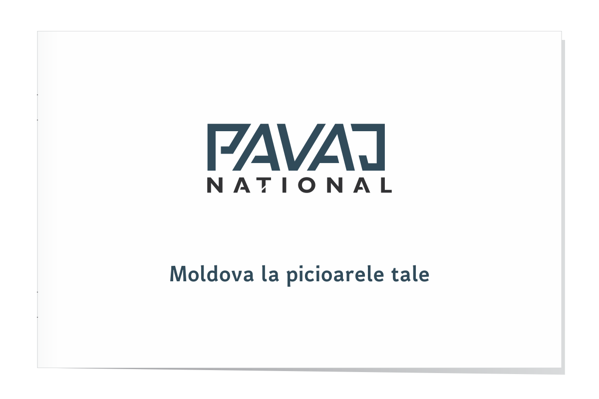 https://imprint.md/img/client/Pavaj/book/pavaj national logo gudelines site preview 6_1.png